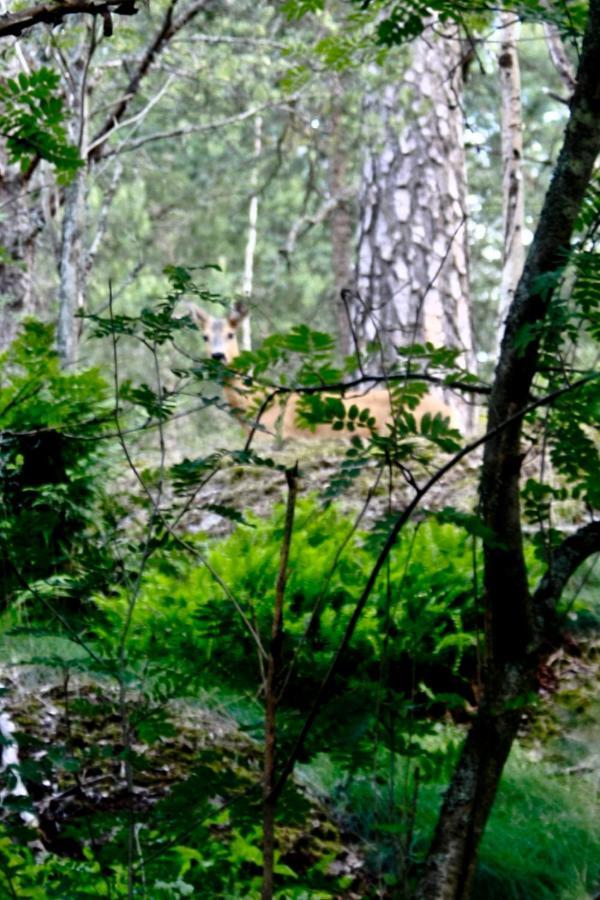 Bed&Breakfast In Nature 12 Min From City Free Bikes Стокгольм Экстерьер фото